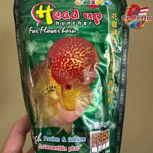 🇸🇬 Okiko Head Up Huncher – Enhance Flowerhorn Head Growth & Vibrant Colors | High Protein Floating Pellets 100g 🐟✨
