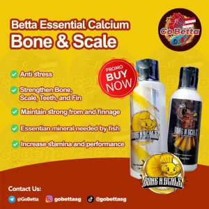 [SG Seller] Premium Bone N Scale Calcium Betta Fish Calcium Supplement Kalsium Suplemen Ikan Cupang Kontes Betta Contest