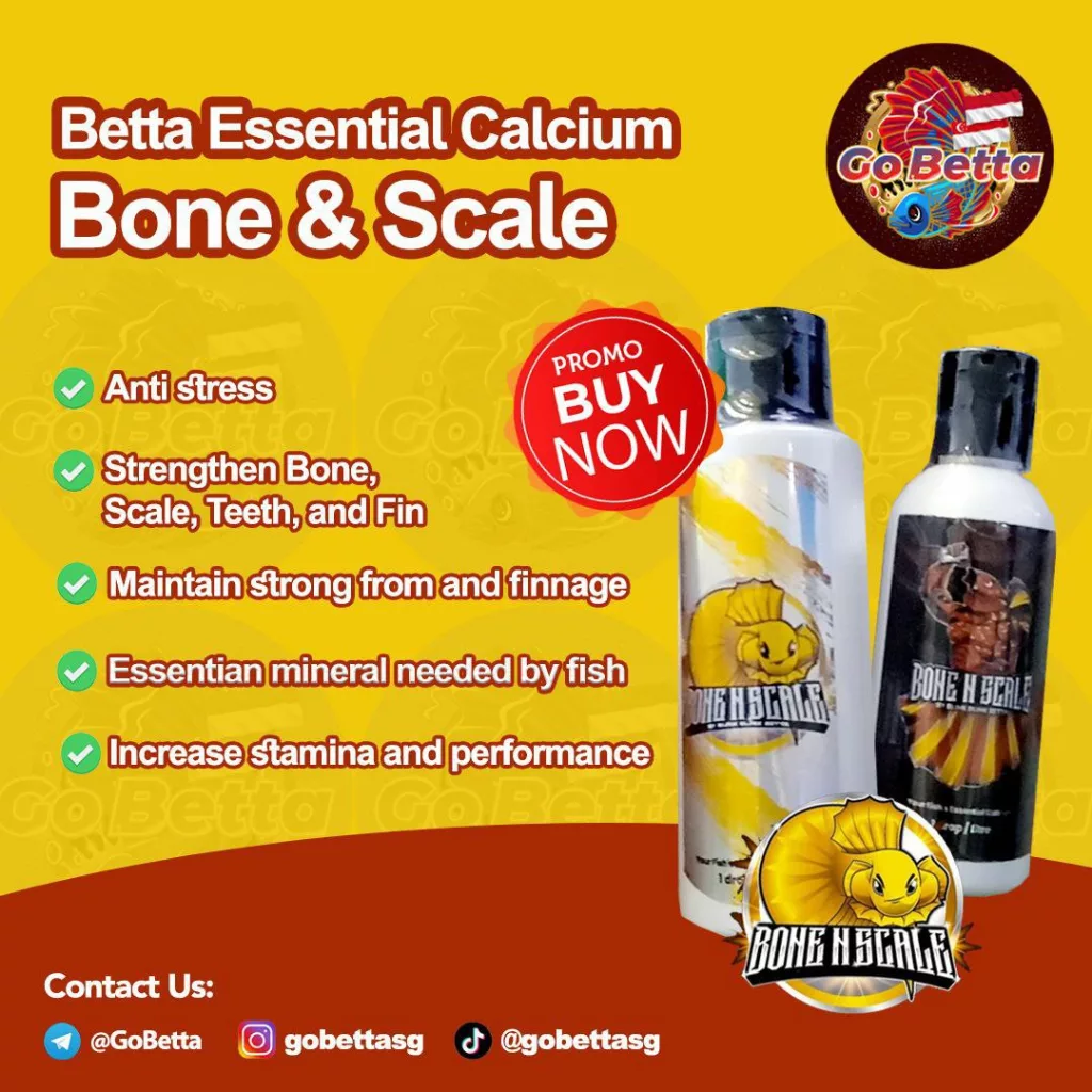 [SG Seller] Premium Bone N Scale Calcium Betta Fish Calcium Supplement Kalsium Suplemen Ikan Cupang Kontes Betta Contest