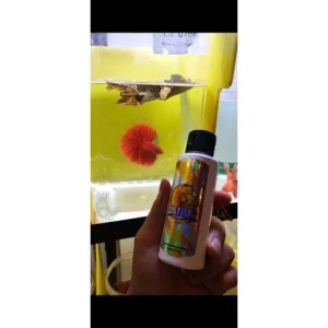 [SG Seller] Premium Bone N Scale Calcium Betta Fish Calcium Supplement Kalsium Suplemen Ikan Cupang Kontes Betta Contest