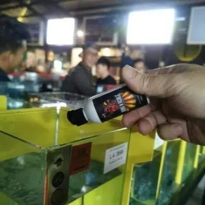 [SG Seller] Premium Bone N Scale Calcium Betta Fish Calcium Supplement Kalsium Suplemen Ikan Cupang Kontes Betta Contest