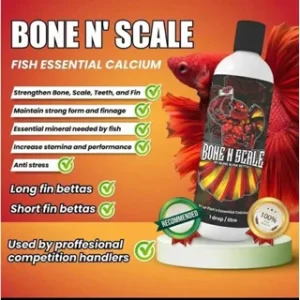 [SG Seller] Premium Bone N Scale Calcium Betta Fish Calcium Supplement Kalsium Suplemen Ikan Cupang Kontes Betta Contest