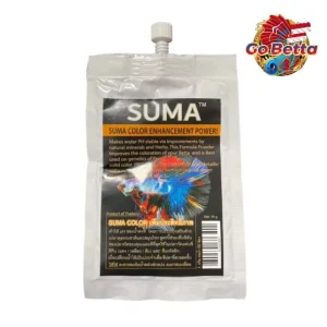 🇸🇬 SUMA COLOR ENHANCEMENT POWER BETTA FISH SUMA COMPETITION BREEDING COMP THAI INDIAN ALMOND LEAVES KATAPANG FRESH STOCK