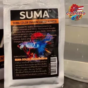 🇸🇬 SUMA COLOR ENHANCEMENT POWER BETTA FISH SUMA COMPETITION BREEDING COMP THAI INDIAN ALMOND LEAVES KATAPANG FRESH STOCK