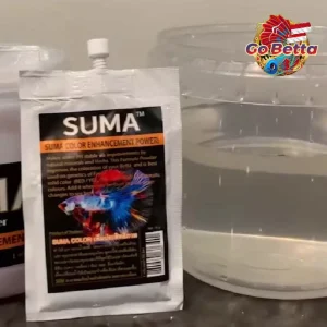 🇸🇬 SUMA COLOR ENHANCEMENT POWER BETTA FISH SUMA COMPETITION BREEDING COMP THAI INDIAN ALMOND LEAVES KATAPANG FRESH STOCK