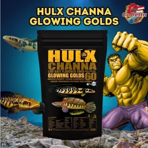 🇸🇬 Channa Fish Premium Gold Enhancer – HULX Glowing Golds for Vibrant Color, Health & Clean Feeding Formula Channa Food