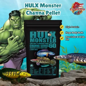 🇸🇬 Premium HULX Monster Channa Food Channa Pellet CHANNA SHOP CHANNA STORE FISH SHOP CHANNA OUTLET CHANNA RETAIL CHANA