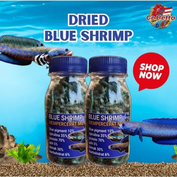 Blue Dried Shrimp 20g – Premium Fish Food for Predator Fish, Channa Blue Pulchra, Limbata, Orna, Orcha, Stewarti, Andrao