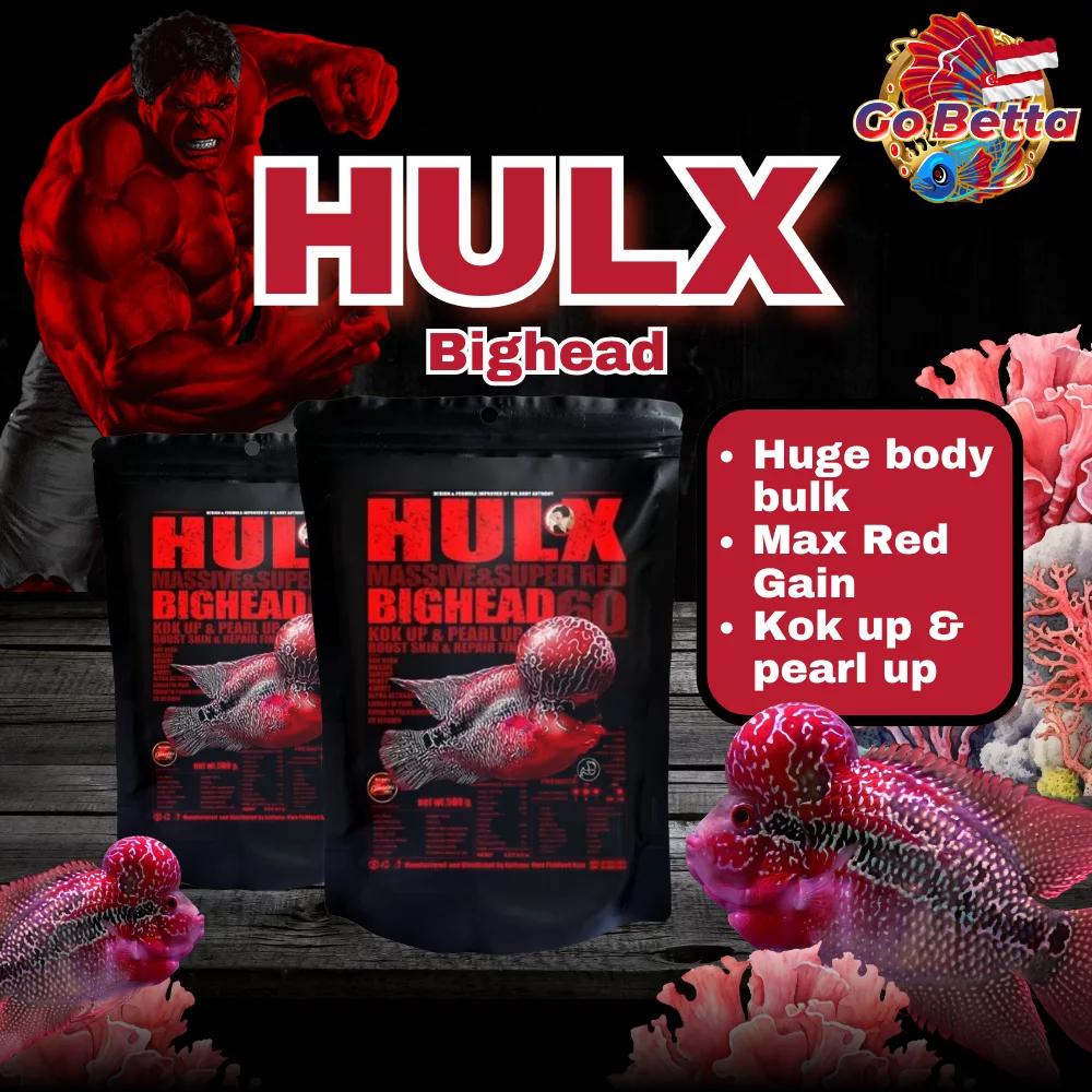 🇸🇬 HULX Bighead Premium Flowerhorn Feed – Boost Growth & Stunning Fish Heads, Enhance Color & Health