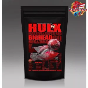 🇸🇬 HULX Bighead Premium Flowerhorn Feed – Boost Growth & Stunning Fish Heads, Enhance Color & Health