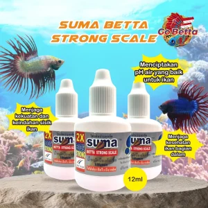 🇸🇬 SUMA STRONG SCALE VITAMINS FOR BETTA FISH  | FRESH STOCKS DIRECTLY FROM MANUFACTURER | STRONG SCALES, AVOID INFECTED