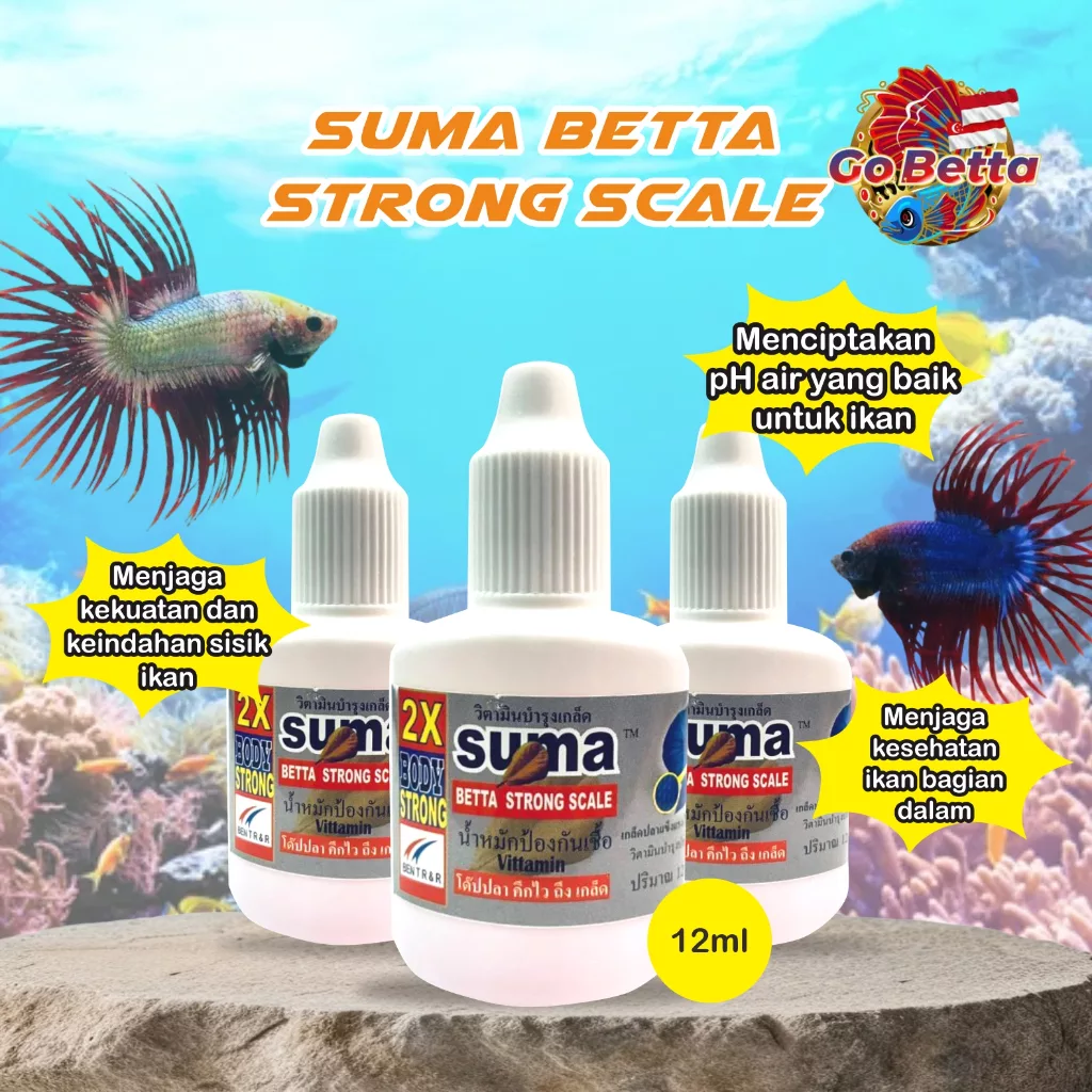 🇸🇬 SUMA STRONG SCALE VITAMINS FOR BETTA FISH  | FRESH STOCKS DIRECTLY FROM MANUFACTURER | STRONG SCALES, AVOID INFECTED