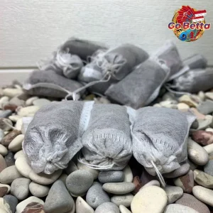 SG Seller Channa Maru Fish Liquid Auranti Limbata Pulchra Asiatica Special Treatment Fast Mutation Cairan Setan Channa