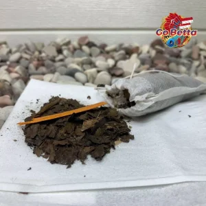 SG Seller Channa Maru Fish Liquid Auranti Limbata Pulchra Asiatica Special Treatment Fast Mutation Cairan Setan Channa