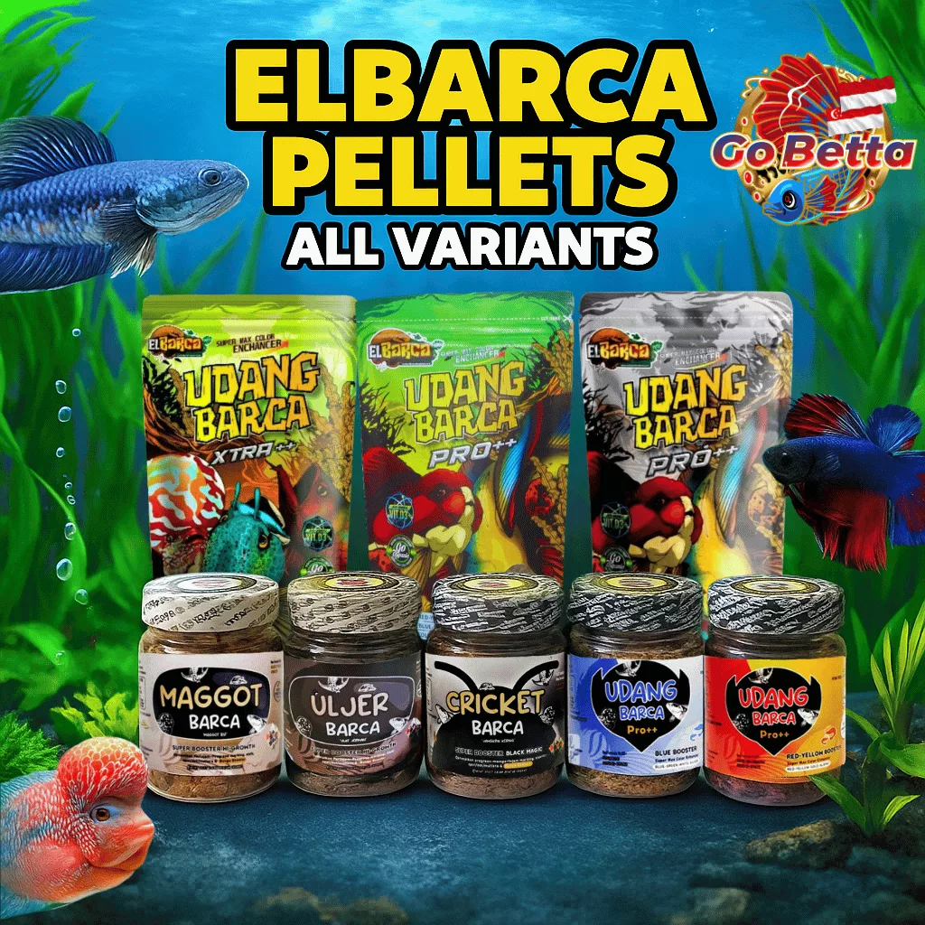 🇸🇬 Fish Food Insect Protein ElBarca UDANG BARCA Pro Organic Feed Color Boost Growth Support for Predator Fish