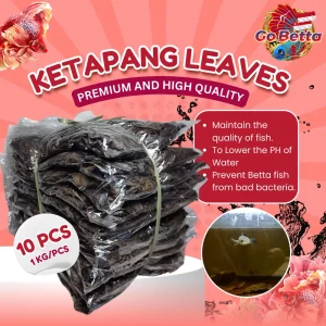 🇸🇬 Premium Ketapang Fermented Leaves Bundle 10x100g – Super Saver Value Pack | Perfect for Betta, Channa, Arwana Fish