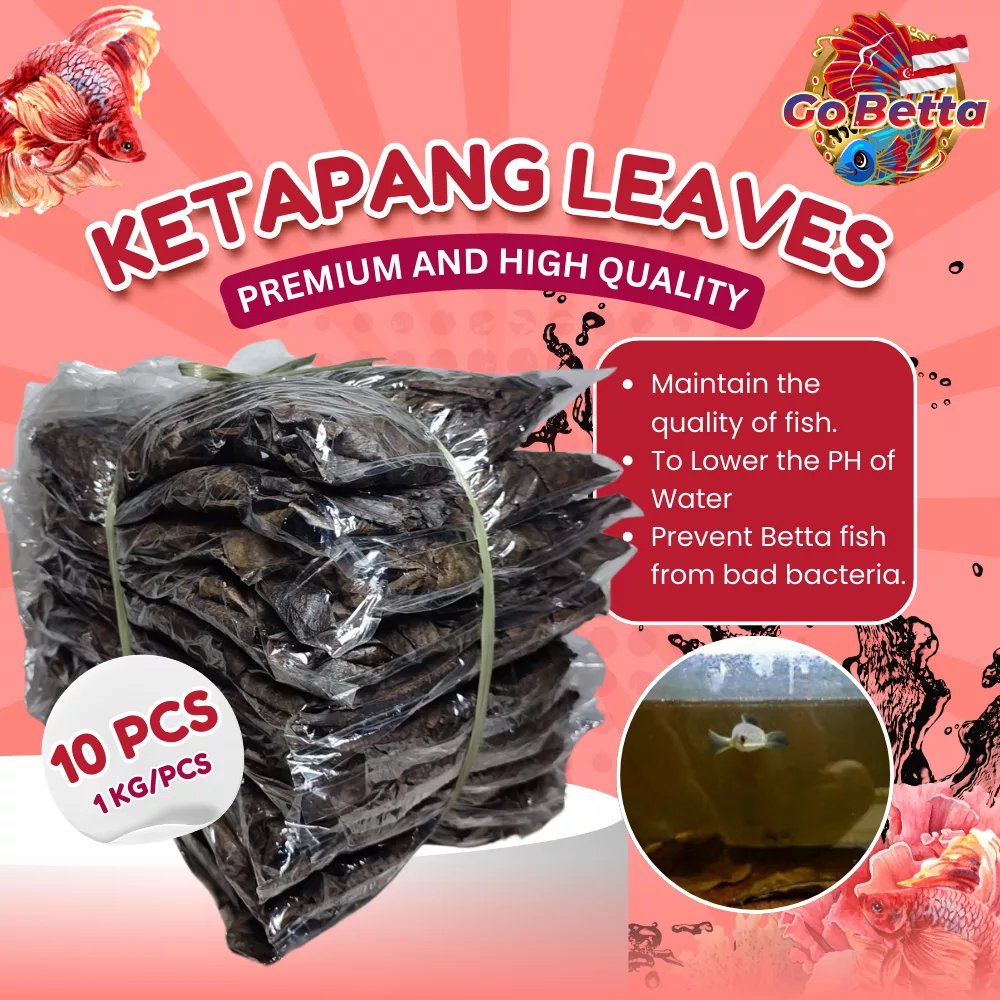 🇸🇬 Premium Ketapang Fermented Leaves Bundle 10x100g – Super Saver Value Pack | Perfect for Betta, Channa, Arwana Fish