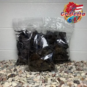 🇸🇬 Premium Ketapang Fermented Leaves Bundle 10x100g – Super Saver Value Pack | Perfect for Betta, Channa, Arwana Fish
