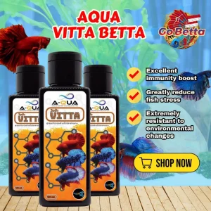 🇸🇬 AQUA VITTA (VITAMINS FOR BETTA) EXCELLENT IMMUNITY BOOST GREATLY REDUCE FISH STRESS FRESH STOCKS FROM MANUFACTURER