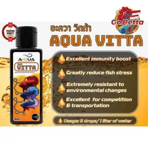 🇸🇬 AQUA VITTA (VITAMINS FOR BETTA) EXCELLENT IMMUNITY BOOST GREATLY REDUCE FISH STRESS FRESH STOCKS FROM MANUFACTURER