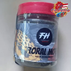 🇸🇬 Fish Food Crab Protein Feedhunt Floral Motif Pellet for Channa Maru Natural Nutrition Color Boost Growth Support