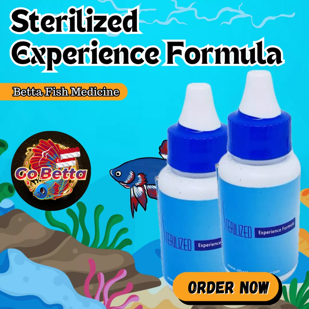 🇸🇬 STERILIZED Experienced Formula Betta Fish Medicine Obat Ikan Cupang Koi Arowana Acriflavine Obat Ikan Terkena Bakteri