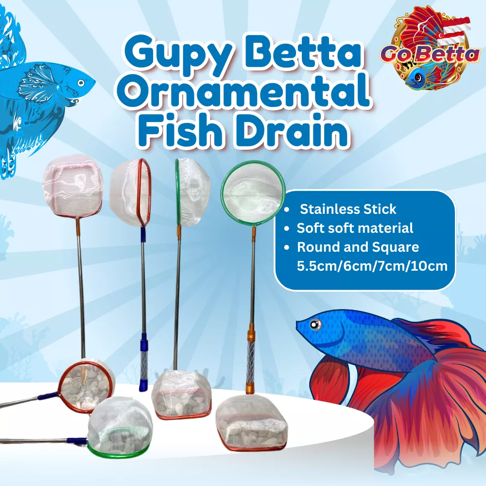 🇸🇬 Fish Net for Betta & Guppy – STAINLESS Steel Fine Mesh, Ideal for Artemia, Larvae, Fry, and Aquarium Cleaning Needs