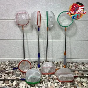 🇸🇬 Fish Net for Betta & Guppy – STAINLESS Steel Fine Mesh, Ideal for Artemia, Larvae, Fry, and Aquarium Cleaning Needs