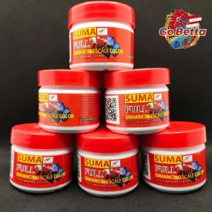 🇸🇬 SUMA BETTA FISH FOOD PELLET FOR FULL ENHANCING SCALE COLOR | SCALE COLOR ENHANCER BETTA FISH SUMA THAI | MAKANAN IKAN