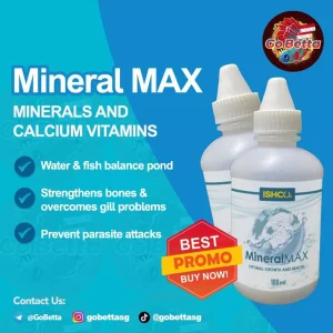 [SG Seller] MINERAL MAX / MINERAL CALSIUM / ISHCO MINERAL MAX – HIGH MINERAL KALSIUM VITAMIN OBAT IKAN CUPANG / CHANNA