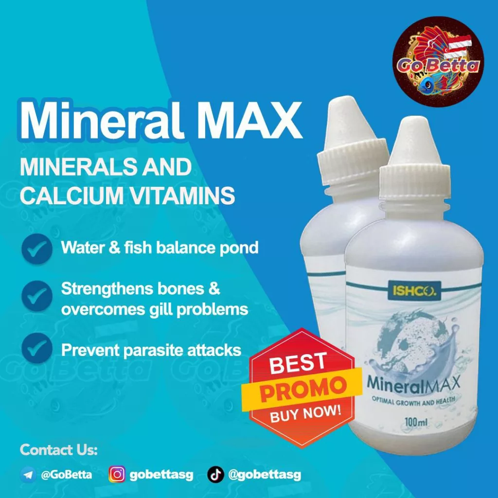 [SG Seller] MINERAL MAX / MINERAL CALSIUM / ISHCO MINERAL MAX – HIGH MINERAL KALSIUM VITAMIN OBAT IKAN CUPANG / CHANNA