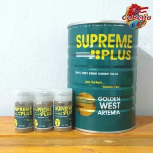 ARTEMIA SUPREME PLUS 10 GRAM GOLDEN WEST BBS EGGS (SMALL ROE) BABY BRINE SHRIMP, ARTEMIA, SEA MONKEY FOR SMALL/BABY FISH