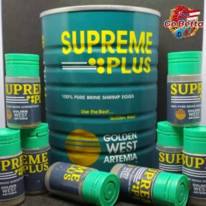 ARTEMIA SUPREME PLUS 10 GRAM GOLDEN WEST BBS EGGS (SMALL ROE) BABY BRINE SHRIMP, ARTEMIA, SEA MONKEY FOR SMALL/BABY FISH