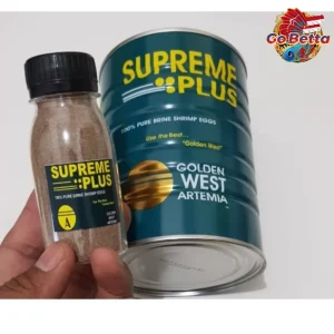 ARTEMIA SUPREME PLUS 10 GRAM GOLDEN WEST BBS EGGS (SMALL ROE) BABY BRINE SHRIMP, ARTEMIA, SEA MONKEY FOR SMALL/BABY FISH