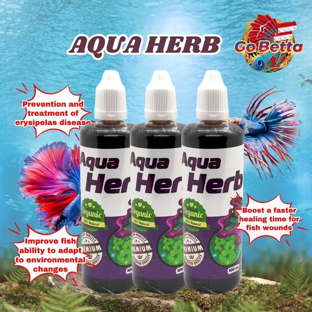 🇸🇬 AQUA HERB PREVENTION AND TREATMENT OF ERYSIPELAS DISEASE | FAMOUS AQUA KING THAILAND | FRESH STOCKS FROM MANUFACTURER