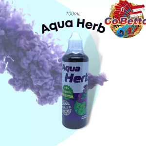 🇸🇬 AQUA HERB PREVENTION AND TREATMENT OF ERYSIPELAS DISEASE | FAMOUS AQUA KING THAILAND | FRESH STOCKS FROM MANUFACTURER
