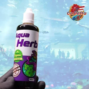 🇸🇬 AQUA HERB PREVENTION AND TREATMENT OF ERYSIPELAS DISEASE | FAMOUS AQUA KING THAILAND | FRESH STOCKS FROM MANUFACTURER