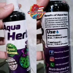 🇸🇬 AQUA HERB PREVENTION AND TREATMENT OF ERYSIPELAS DISEASE | FAMOUS AQUA KING THAILAND | FRESH STOCKS FROM MANUFACTURER