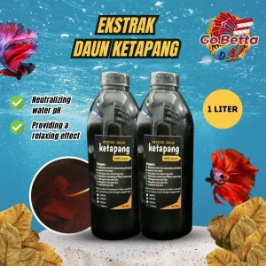 [SG Seller] PREMIUM INSTANT KETAPANG LEAF EXTRACT 1L NATURAL KETAPANG EXTRACT FOR BETTA FISH 1 L OBAT IKAN CATTAPA EXTRA