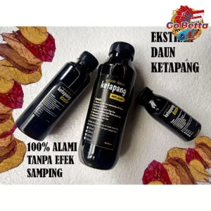 [SG Seller] PREMIUM INSTANT KETAPANG LEAF EXTRACT 1L NATURAL KETAPANG EXTRACT FOR BETTA FISH 1 L OBAT IKAN CATTAPA EXTRA