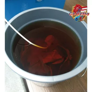 [SG Seller] PREMIUM INSTANT KETAPANG LEAF EXTRACT 1L NATURAL KETAPANG EXTRACT FOR BETTA FISH 1 L OBAT IKAN CATTAPA EXTRA