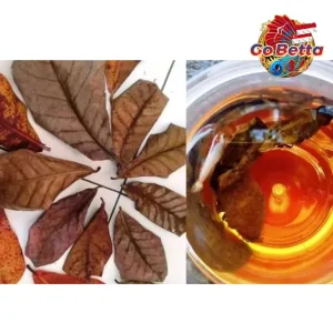 [SG Seller] PREMIUM INSTANT KETAPANG LEAF EXTRACT 1L NATURAL KETAPANG EXTRACT FOR BETTA FISH 1 L OBAT IKAN CATTAPA EXTRA