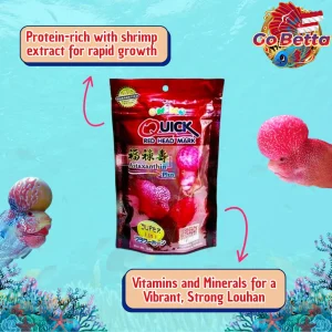OKIKO QUICK RED Premium Head Growth Formula for Louhan Fish Enhance Red Marking & Vibrancy High-Protein Feed 100g  S M L