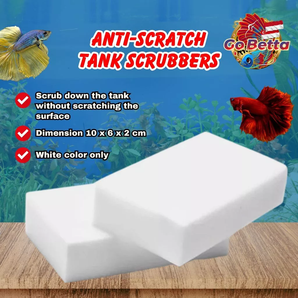 🇸🇬 ANTI-SCRATCH TANK SCRUBBERS BETTA SHOP BETTA STORE FISH SHOP BETTA OUTLET BETTA RETAIL BETTA SINGAPORE