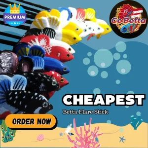 [SG Seller] CHEAPEST WITH PREMIUM QUALITY Latest Design Flare Stick For Betta Betta Flare Stick 3D Fish Flare Stick