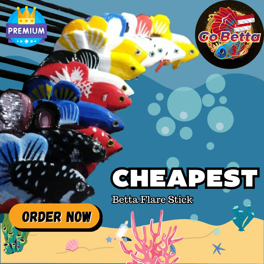 [SG Seller] CHEAPEST WITH PREMIUM QUALITY Latest Design Flare Stick For Betta Betta Flare Stick 3D Fish Flare Stick
