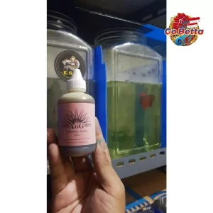 [SG Seller] AOG (Art of Grooming) BETTA SHOP BETTA STORE BETTA SINGAPORE ONLINE SHOP PET SHOP TOKO IKAN CUPANG