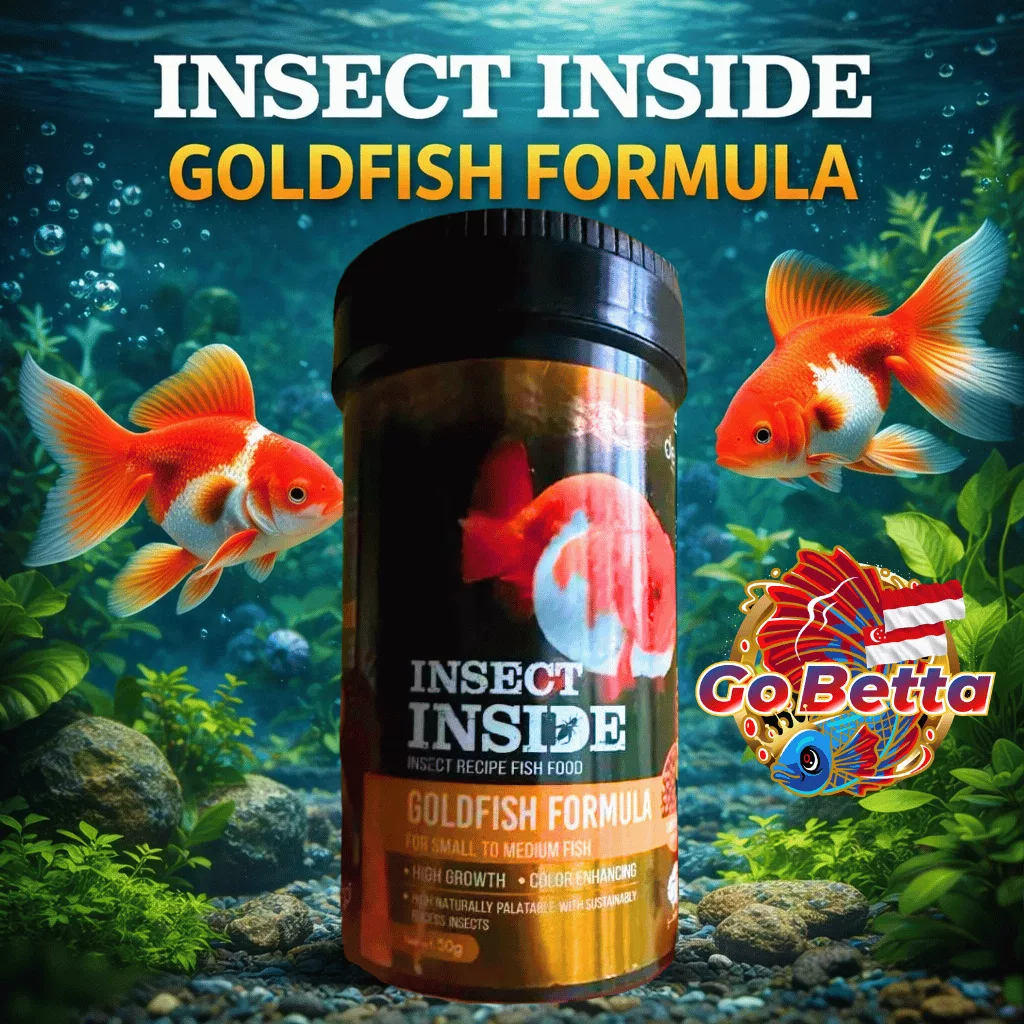 🇸🇬 Insect Inside Goldfish Formula – Enhance Vibrant Colors & Health | Premium Insect-Based Nutrition | 50g & 100g