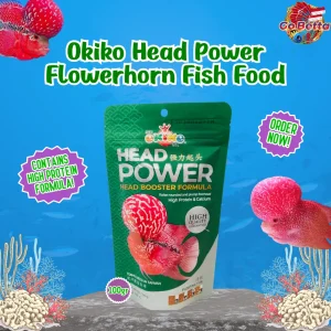 🇸🇬 Okiko Head Power Louhan Fish Pellet 100g | High Protein & Calcium for Big Rounded Forehead & Fast Growth Boost