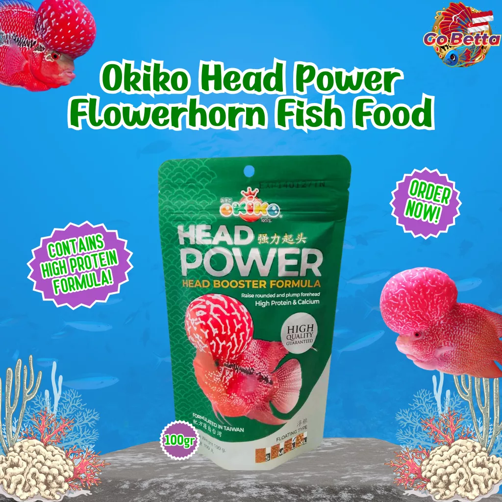 🇸🇬 Okiko Head Power Louhan Fish Pellet 100g | High Protein & Calcium for Big Rounded Forehead & Fast Growth Boost